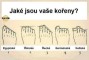 Noha – kořeny předků